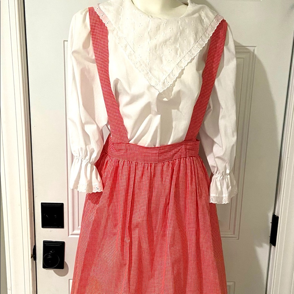 Dorothy’s Wizard of Oz Ladies size 9 Halloween Costume Shoes size 8.5 and Toto - Picture 2 of 6
